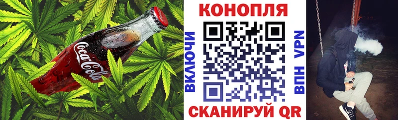дарнет шоп  кракен сайт  Еда ТГК марихуана  Кашин 