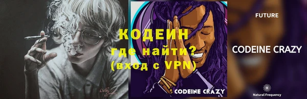 прущие грибы Волосово