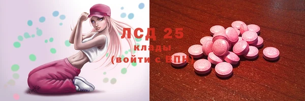 прущие грибы Волосово