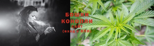 прущие грибы Волосово