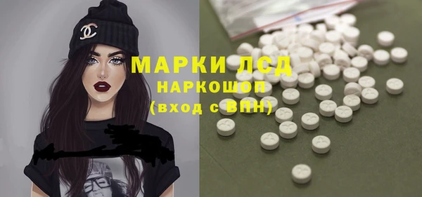 прущие грибы Волосово