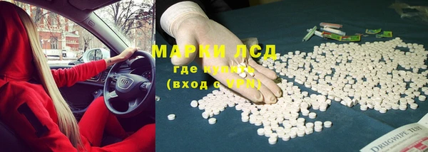 прущие грибы Волосово