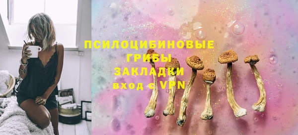 не бодяженный Тобольск